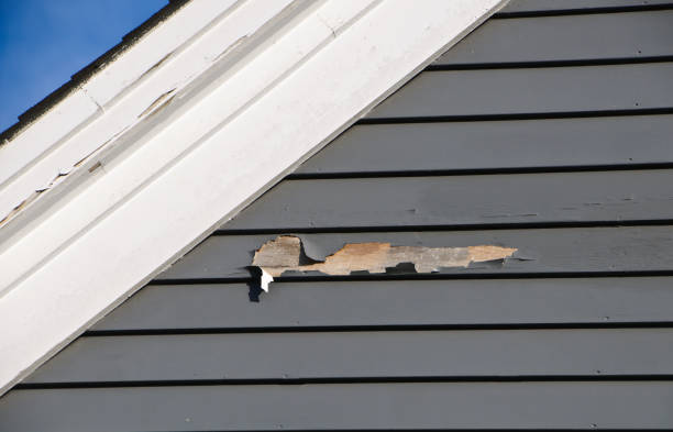 Best Same-Day Junk Removal Services  in Ossian, IN